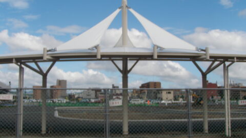 photo3